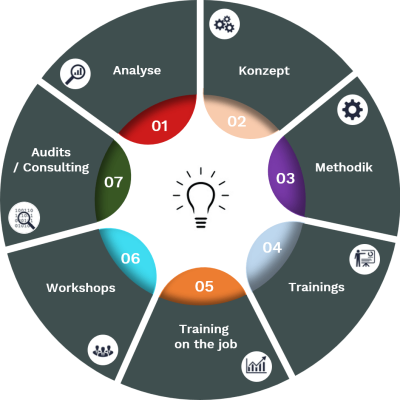 Solution_3 A circular diagram with seven segments, each labeled with steps from Analyse, NX Consulting, NX Training, NX Methods, NX Workshops, NX Training on the job to Audits/Consulting, centered around a light bulb icon.